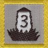 3 km