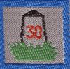 30 km
