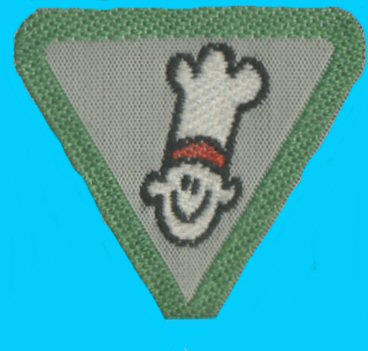 Lejrkok